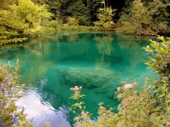 Lacul Ochiul Beiului- Parcul Național Cheile Nerei – Beușnița